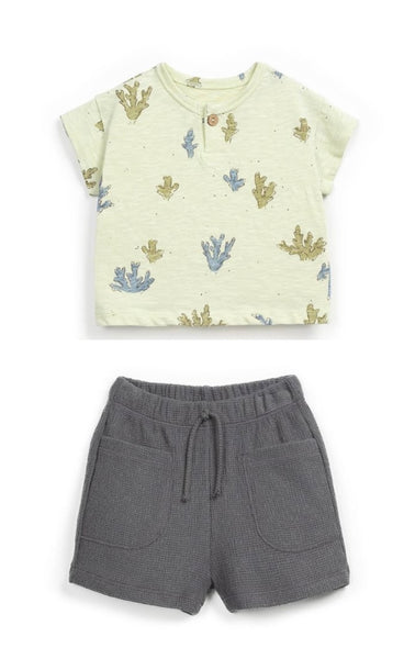 Play Up - Infant Boy Coral Reef Printed Tee