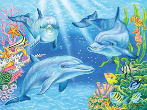 DOLPHIN COVE JIGSAW PUZZLE