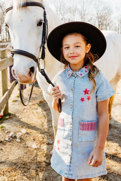 Dolly Denim Dress