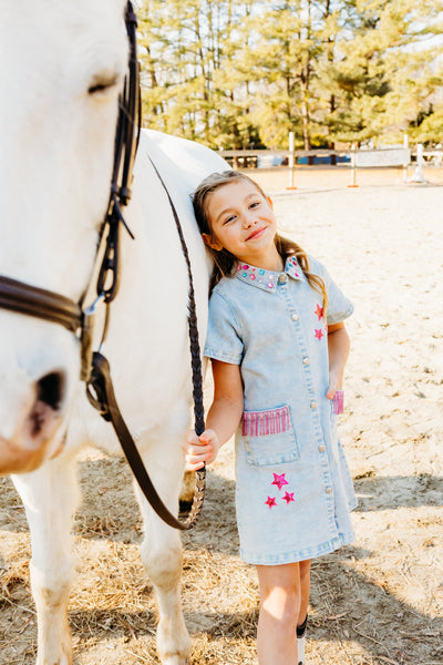 Dolly Denim Dress