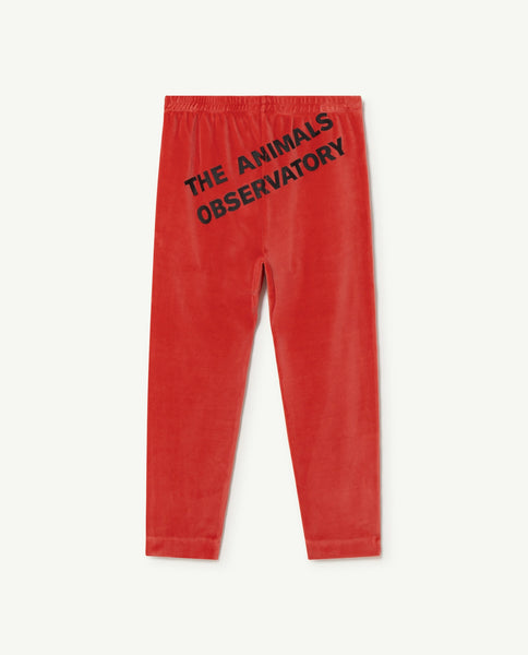 The Animal Observatory - Red Velvet Camaleon Pants