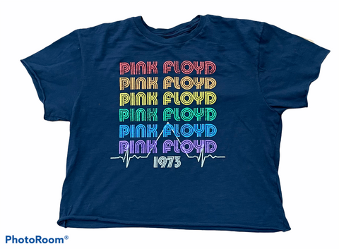 Retro Brand - Rainbow Pink Floyd Cropped Tee